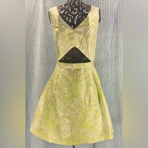 Sans Souci Green and Gold Mini Dress